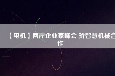 【電機】兩岸企業(yè)家峰會 拚智慧機械合作 - TECO東元電機 | 變頻器·伺服電機·減速機·電機解決方案