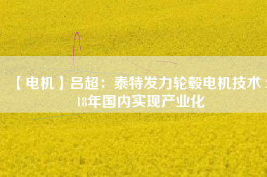【電機】呂超:泰特發力輪轂電機技術 2018年國內實現產業化 - TECO東元電機 | 變頻器·伺服電機·減速機·電機解決方案