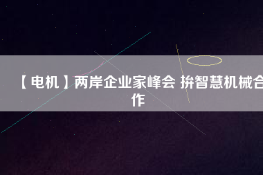【電機】兩岸企業(yè)家峰會 拚智慧機械合作 - TECO東元電機 | 變頻器·伺服電機·減速機·電機解決方案