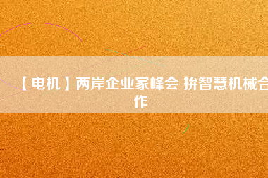 【電機】兩岸企業(yè)家峰會 拚智慧機械合作 - TECO東元電機 | 變頻器·伺服電機·減速機·電機解決方案