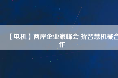【電機】兩岸企業(yè)家峰會 拚智慧機械合作 - TECO東元電機 | 變頻器·伺服電機·減速機·電機解決方案