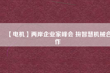 【電機】兩岸企業(yè)家峰會 拚智慧機械合作 - TECO東元電機 | 變頻器·伺服電機·減速機·電機解決方案