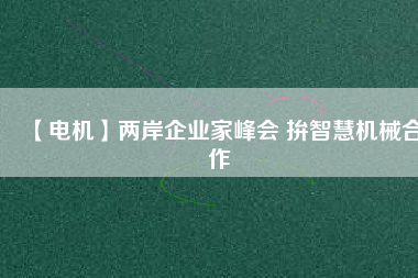 【電機】兩岸企業(yè)家峰會 拚智慧機械合作 - TECO東元電機 | 變頻器·伺服電機·減速機·電機解決方案