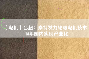 【電機】呂超:泰特發力輪轂電機技術 2018年國內實現產業化 - TECO東元電機 | 變頻器·伺服電機·減速機·電機解決方案