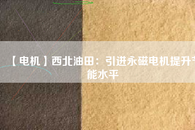 【電機】西北油田：引進永磁電機提升節能水平 - TECO東元電機 | 變頻器·伺服電機·減速機·電機解決方案