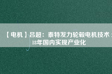 【電機】呂超:泰特發力輪轂電機技術 2018年國內實現產業化 - TECO東元電機 | 變頻器·伺服電機·減速機·電機解決方案