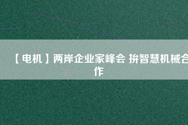 【電機】兩岸企業(yè)家峰會 拚智慧機械合作 - TECO東元電機 | 變頻器·伺服電機·減速機·電機解決方案