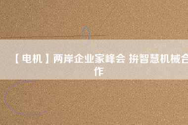【電機】兩岸企業(yè)家峰會 拚智慧機械合作 - TECO東元電機 | 變頻器·伺服電機·減速機·電機解決方案