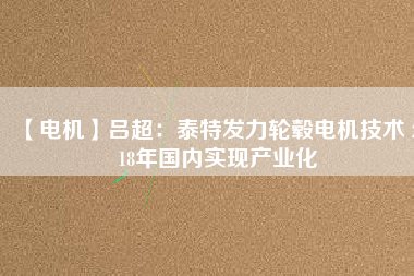【電機】呂超:泰特發力輪轂電機技術 2018年國內實現產業化 - TECO東元電機 | 變頻器·伺服電機·減速機·電機解決方案
