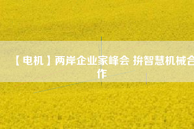 【電機】兩岸企業(yè)家峰會 拚智慧機械合作 - TECO東元電機 | 變頻器·伺服電機·減速機·電機解決方案