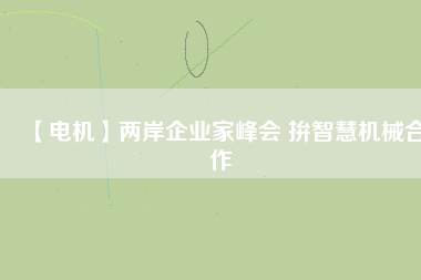 【電機】兩岸企業(yè)家峰會 拚智慧機械合作 - TECO東元電機 | 變頻器·伺服電機·減速機·電機解決方案