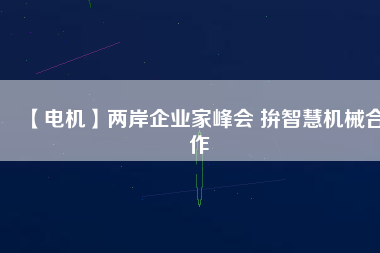 【電機】兩岸企業(yè)家峰會 拚智慧機械合作 - TECO東元電機 | 變頻器·伺服電機·減速機·電機解決方案