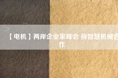 【電機】兩岸企業(yè)家峰會 拚智慧機械合作 - TECO東元電機 | 變頻器·伺服電機·減速機·電機解決方案
