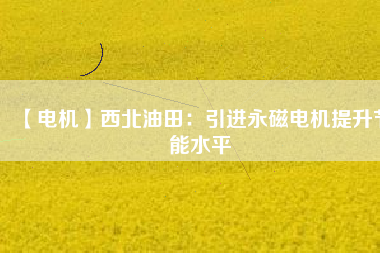 【電機】西北油田：引進永磁電機提升節能水平 - TECO東元電機 | 變頻器·伺服電機·減速機·電機解決方案