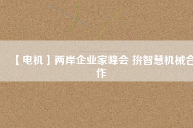 【電機】兩岸企業(yè)家峰會 拚智慧機械合作 - TECO東元電機 | 變頻器·伺服電機·減速機·電機解決方案