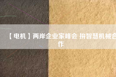 【電機】兩岸企業(yè)家峰會 拚智慧機械合作 - TECO東元電機 | 變頻器·伺服電機·減速機·電機解決方案