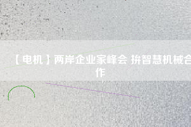 【電機】兩岸企業(yè)家峰會 拚智慧機械合作 - TECO東元電機 | 變頻器·伺服電機·減速機·電機解決方案