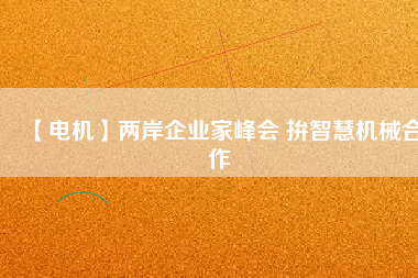 【電機】兩岸企業(yè)家峰會 拚智慧機械合作 - TECO東元電機 | 變頻器·伺服電機·減速機·電機解決方案