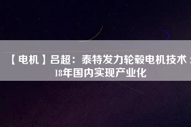 【電機】呂超:泰特發力輪轂電機技術 2018年國內實現產業化 - TECO東元電機 | 變頻器·伺服電機·減速機·電機解決方案
