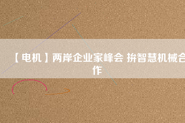【電機】兩岸企業(yè)家峰會 拚智慧機械合作 - TECO東元電機 | 變頻器·伺服電機·減速機·電機解決方案