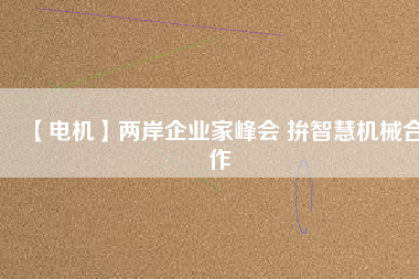 【電機】兩岸企業(yè)家峰會 拚智慧機械合作 - TECO東元電機 | 變頻器·伺服電機·減速機·電機解決方案