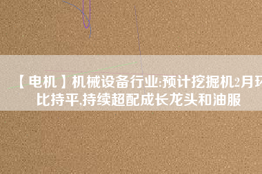 【電機】機械設備行業:預計挖掘機2月環比持平,持續超配成長龍頭和油服 - TECO東元電機 | 變頻器·伺服電機·減速機·電機解決方案