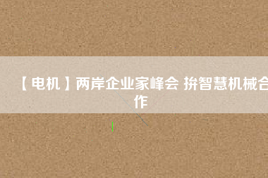 【電機】兩岸企業(yè)家峰會 拚智慧機械合作 - TECO東元電機 | 變頻器·伺服電機·減速機·電機解決方案