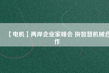 【電機】兩岸企業(yè)家峰會 拚智慧機械合作 - TECO東元電機 | 變頻器·伺服電機·減速機·電機解決方案