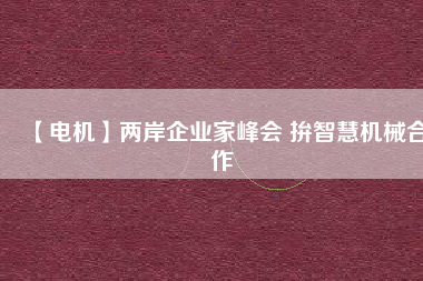【電機】兩岸企業(yè)家峰會 拚智慧機械合作 - TECO東元電機 | 變頻器·伺服電機·減速機·電機解決方案