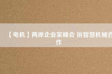 【電機】兩岸企業(yè)家峰會 拚智慧機械合作 - TECO東元電機 | 變頻器·伺服電機·減速機·電機解決方案