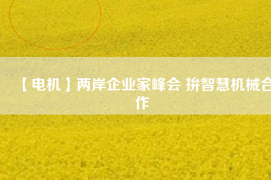 【電機】兩岸企業(yè)家峰會 拚智慧機械合作 - TECO東元電機 | 變頻器·伺服電機·減速機·電機解決方案