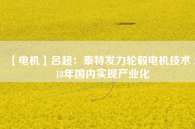 【電機】呂超:泰特發力輪轂電機技術 2018年國內實現產業化 - TECO東元電機 | 變頻器·伺服電機·減速機·電機解決方案