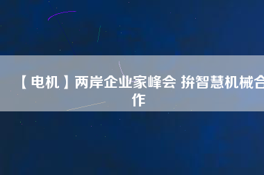 【電機】兩岸企業(yè)家峰會 拚智慧機械合作 - TECO東元電機 | 變頻器·伺服電機·減速機·電機解決方案