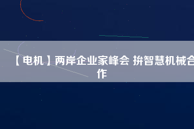 【電機】兩岸企業(yè)家峰會 拚智慧機械合作 - TECO東元電機 | 變頻器·伺服電機·減速機·電機解決方案