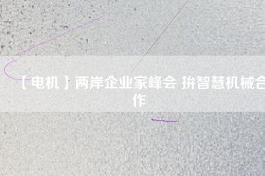 【電機】兩岸企業(yè)家峰會 拚智慧機械合作 - TECO東元電機 | 變頻器·伺服電機·減速機·電機解決方案