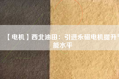 【電機】西北油田：引進永磁電機提升節能水平 - TECO東元電機 | 變頻器·伺服電機·減速機·電機解決方案