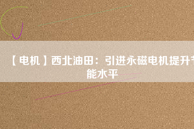 【電機】西北油田：引進永磁電機提升節能水平 - TECO東元電機 | 變頻器·伺服電機·減速機·電機解決方案