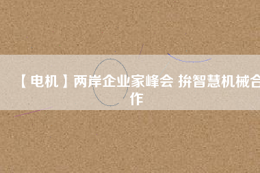 【電機】兩岸企業(yè)家峰會 拚智慧機械合作 - TECO東元電機 | 變頻器·伺服電機·減速機·電機解決方案