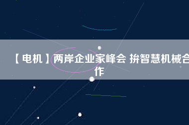 【電機】兩岸企業(yè)家峰會 拚智慧機械合作 - TECO東元電機 | 變頻器·伺服電機·減速機·電機解決方案