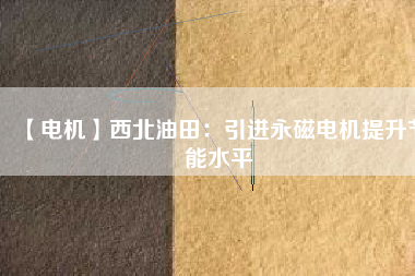 【電機】西北油田：引進永磁電機提升節能水平 - TECO東元電機 | 變頻器·伺服電機·減速機·電機解決方案