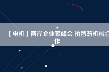 【電機】兩岸企業(yè)家峰會 拚智慧機械合作 - TECO東元電機 | 變頻器·伺服電機·減速機·電機解決方案