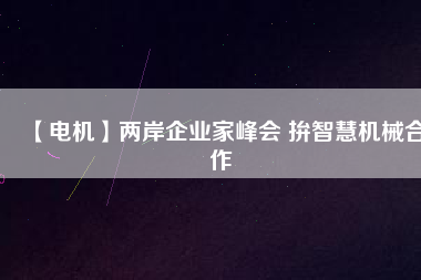 【電機】兩岸企業(yè)家峰會 拚智慧機械合作 - TECO東元電機 | 變頻器·伺服電機·減速機·電機解決方案