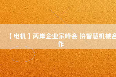 【電機】兩岸企業(yè)家峰會 拚智慧機械合作 - TECO東元電機 | 變頻器·伺服電機·減速機·電機解決方案