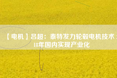 【電機】呂超:泰特發力輪轂電機技術 2018年國內實現產業化 - TECO東元電機 | 變頻器·伺服電機·減速機·電機解決方案