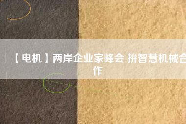 【電機】兩岸企業(yè)家峰會 拚智慧機械合作 - TECO東元電機 | 變頻器·伺服電機·減速機·電機解決方案