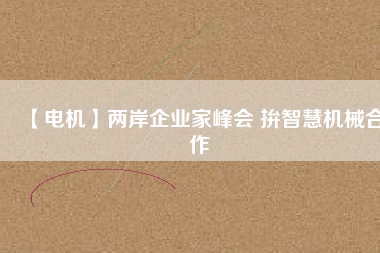 【電機】兩岸企業(yè)家峰會 拚智慧機械合作 - TECO東元電機 | 變頻器·伺服電機·減速機·電機解決方案