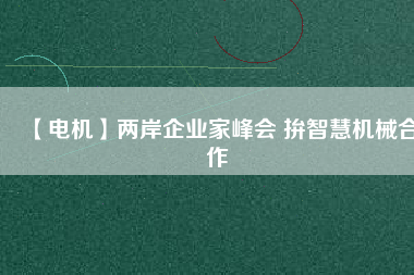 【電機】兩岸企業(yè)家峰會 拚智慧機械合作 - TECO東元電機 | 變頻器·伺服電機·減速機·電機解決方案