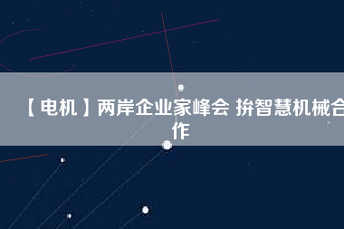 【電機】兩岸企業(yè)家峰會 拚智慧機械合作 - TECO東元電機 | 變頻器·伺服電機·減速機·電機解決方案