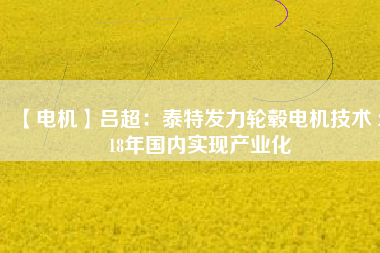 【電機】呂超:泰特發力輪轂電機技術 2018年國內實現產業化 - TECO東元電機 | 變頻器·伺服電機·減速機·電機解決方案